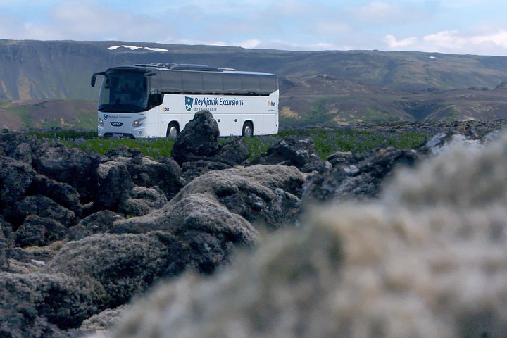 Flygplatstransfer : Keflavik flygplats till Reykjavik centrum på Island