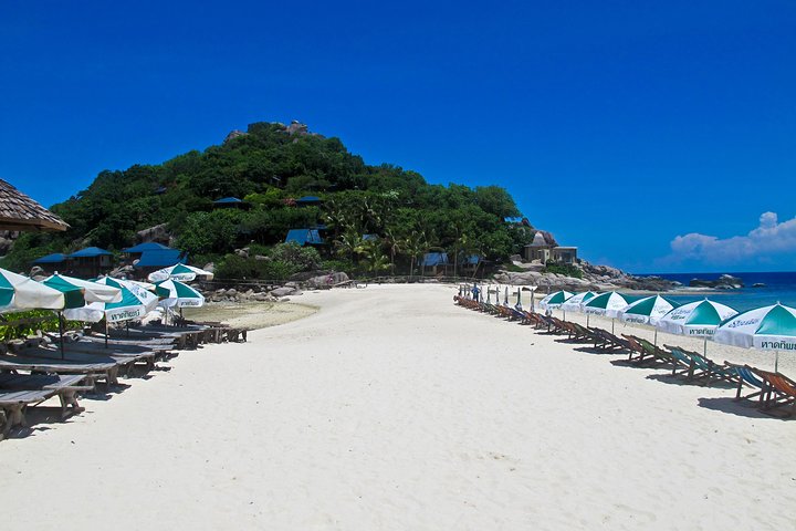 Snorkeltur Koh Tao & Koh Nang Yuan fra Samui med speedbåd