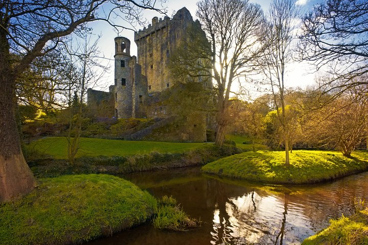 Escursione a terra: visita del castello di Cork e Blarney da Cobh in treno