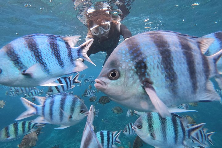 Mergulhe com snorkel na área da caverna azul! [Prefeitura de Okinawa] Alimentação e imagens fotográficas gratuitas!Guia inglês e chinês disponível!