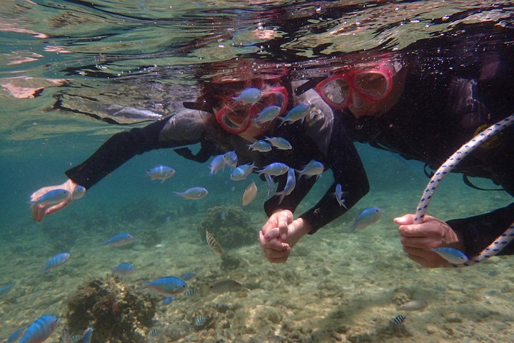 Mergulhe com snorkel na área da caverna azul! [Prefeitura de Okinawa] Alimentação e imagens fotográficas gratuitas!Guia inglês e chinês disponível!