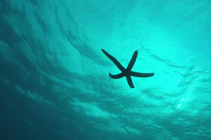 Mergulhe com snorkel na área da caverna azul! [Prefeitura de Okinawa] Alimentação e imagens fotográficas gratuitas!Guia inglês e chinês disponível!