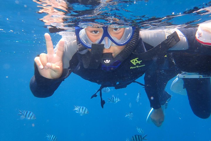 Mergulhe com snorkel na área da caverna azul! [Prefeitura de Okinawa] Alimentação e imagens fotográficas gratuitas!Guia inglês e chinês disponível!