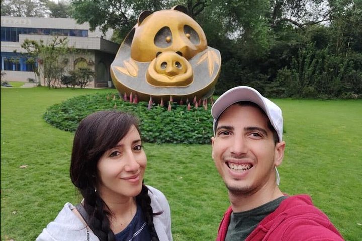 All-inclusive privétrip naar Chengdu Giant Panda Base en Leshan Giant Buddha