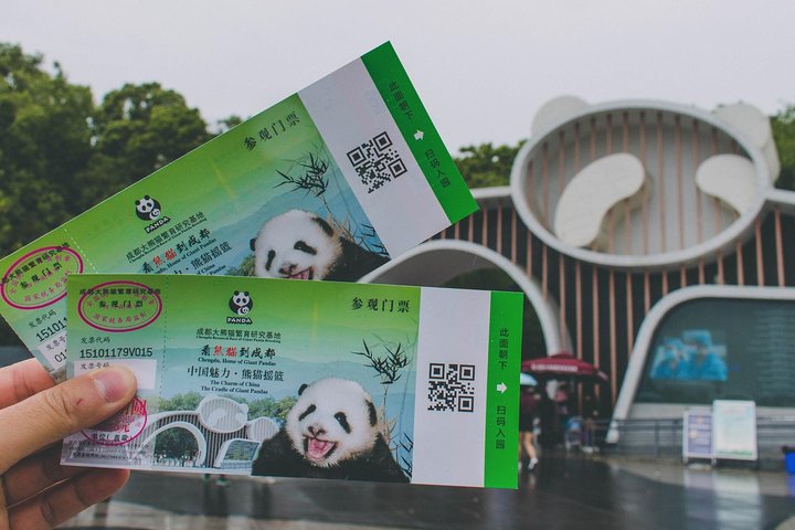 All-inclusive privétrip naar Chengdu Giant Panda Base en Leshan Giant Buddha