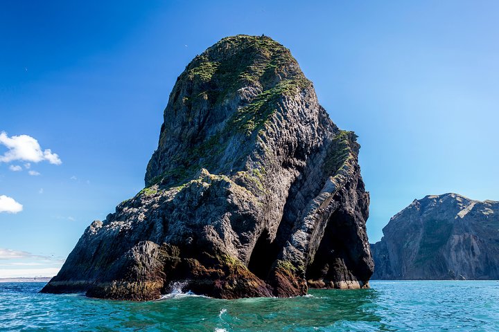 1-timmars liten grupp sightseeingtur i Vestmannaeyjar