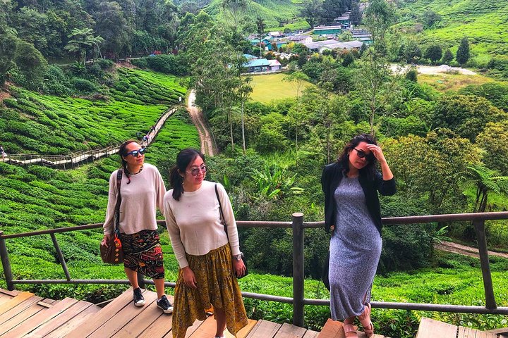 Cameron Highland beste dagstur fra Ipoh med lunsj (dagstur)