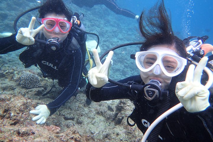 Blue Cave Area Experience Diving!Free feeding & photo images Chinese guide available!1 group with a dedicated instructor