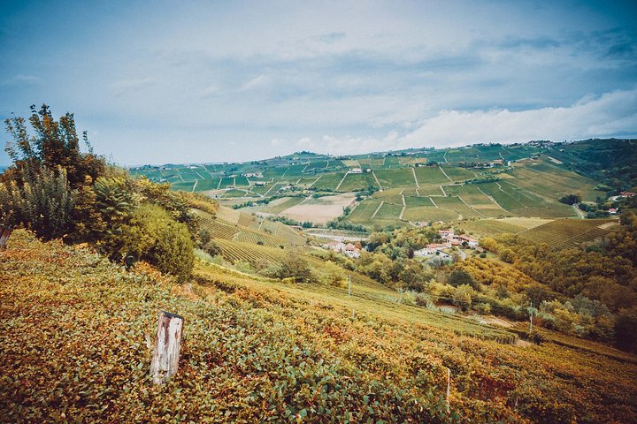 Abellonio Cascina Piccaluga - visita a los viñedos, a la bodega de cata