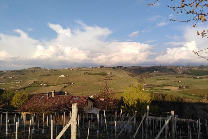 Abellonio Cascina Piccaluga - visita a los viñedos, a la bodega de cata