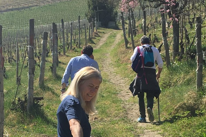 Abellonio Cascina Piccaluga - visita a los viñedos, a la bodega de cata
