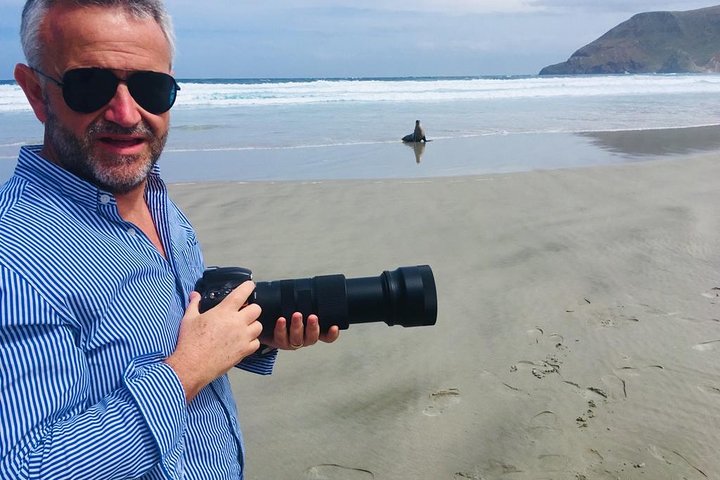 Dunedin Shore Excursion: Små Gruppetur på Dunedin og Otago-halvøya