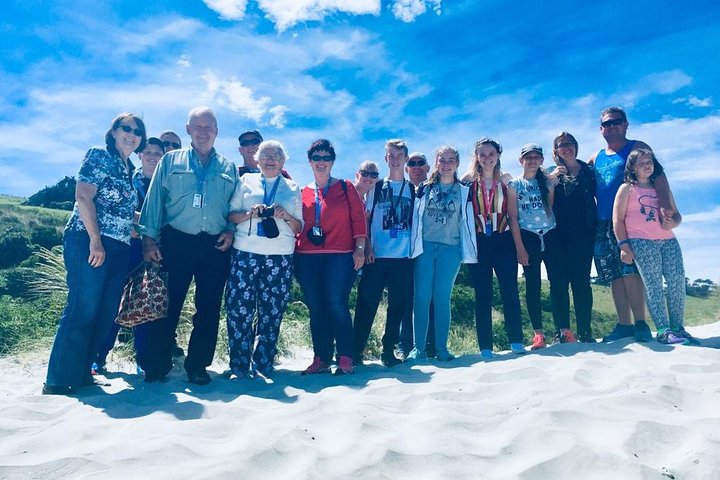 Dunedin Shore Excursion: Små Gruppetur på Dunedin og Otago-halvøya