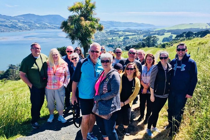 Dunedin Shore Excursion: Små Gruppetur på Dunedin og Otago-halvøya