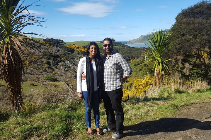 Dunedin Shore Excursion: Små Gruppetur på Dunedin og Otago-halvøya