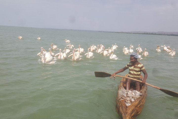 Excursion d'une journée à Bahir Dar. Pour visiter les monastères du lac Tana et les chutes du Nil Bleu.