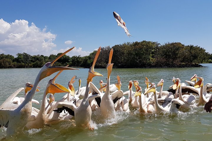 Excursion d'une journée à Bahir Dar. Pour visiter les monastères du lac Tana et les chutes du Nil Bleu.