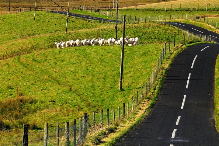 Connemara National Park, strand og tæppe Bog økologi gåtur. Privat Helgedag