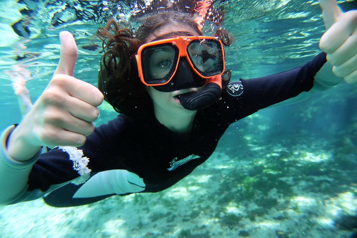 Il tour di snorkeling con lamantino 'OG' con Guida / fotografo in acqua