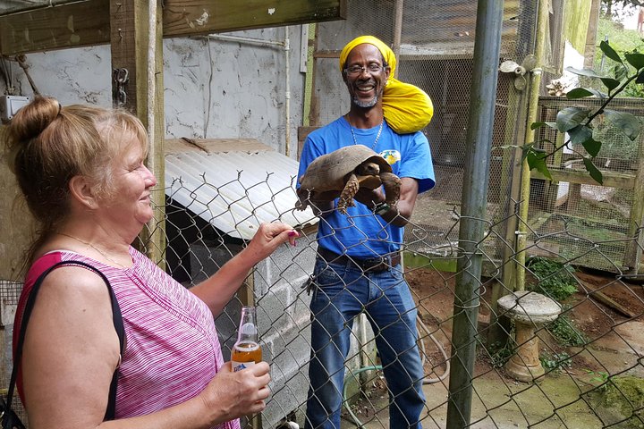 St. Lucia Food and Rum Tour - Proef authentiek St. Luciaans eten en cultuur