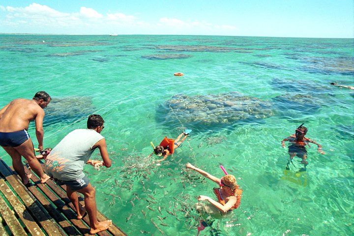 Descubre la Belleza Submarina : Explora el Arrecife Parrachos de Maracajaú