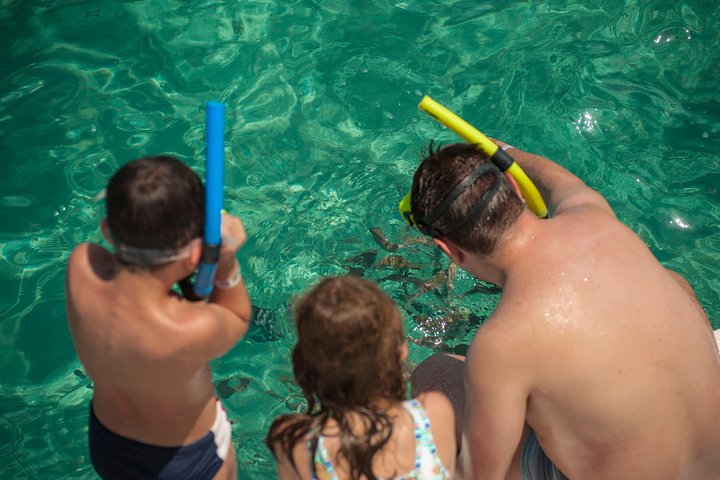 Descubre la Belleza Submarina : Explora el Arrecife Parrachos de Maracajaú