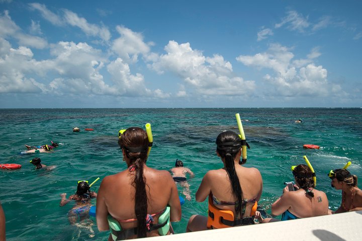 Descubre la Belleza Submarina : Explora el Arrecife Parrachos de Maracajaú