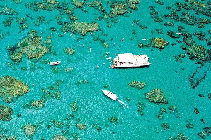 Descubre la Belleza Submarina : Explora el Arrecife Parrachos de Maracajaú