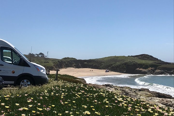 Excursión a la región vinícola para grupos pequeños desde San Francisco con degustaciones