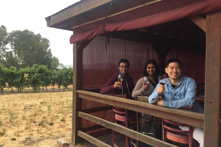 Excursión a la región vinícola para grupos pequeños desde San Francisco con degustaciones