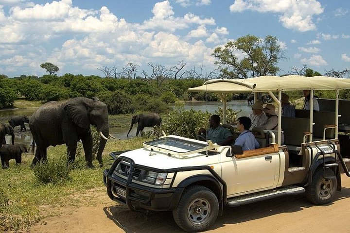 Chobe Full Day Trip