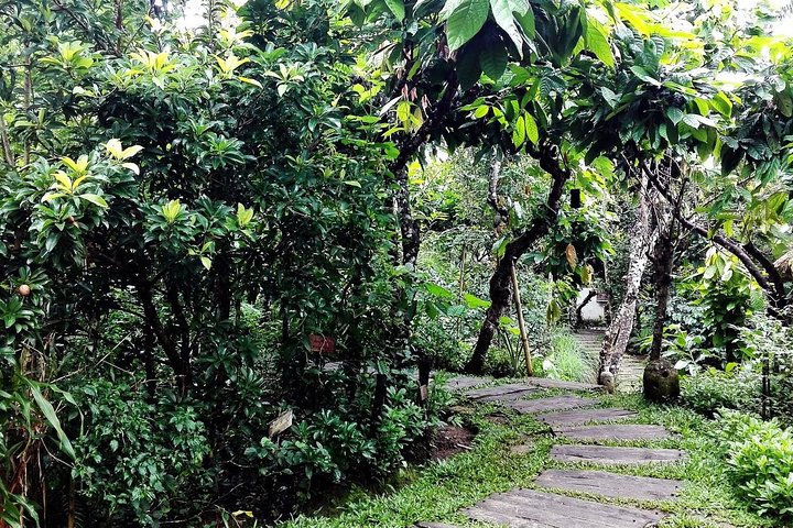 Bali Shore Utflykt från Benoa Port – All-Inclusive privat tur