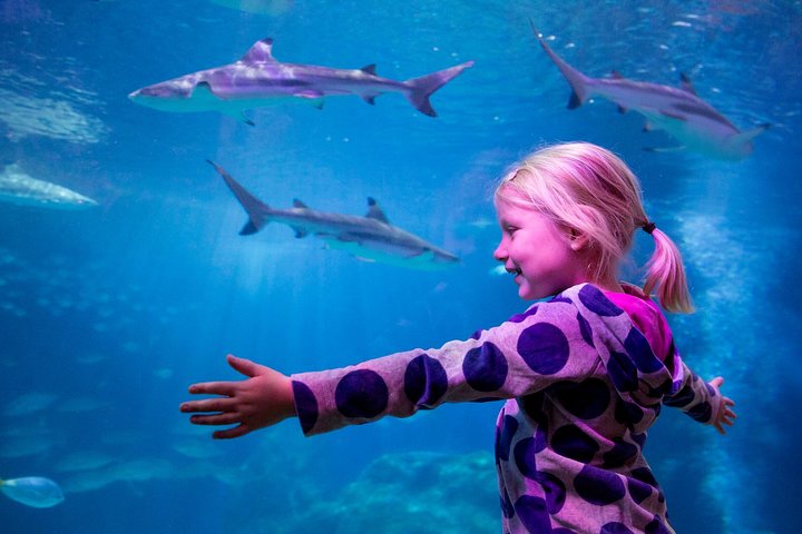 Hoteller i nærheden af SEA LIFE Oberhausen