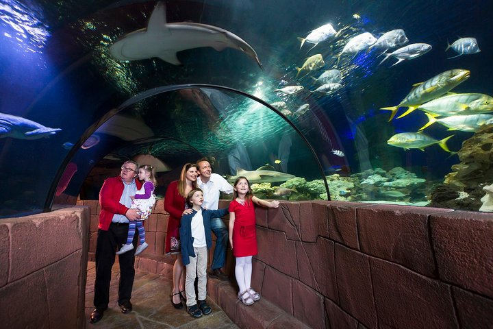 Hoteller i nærheden af SEA LIFE Oberhausen