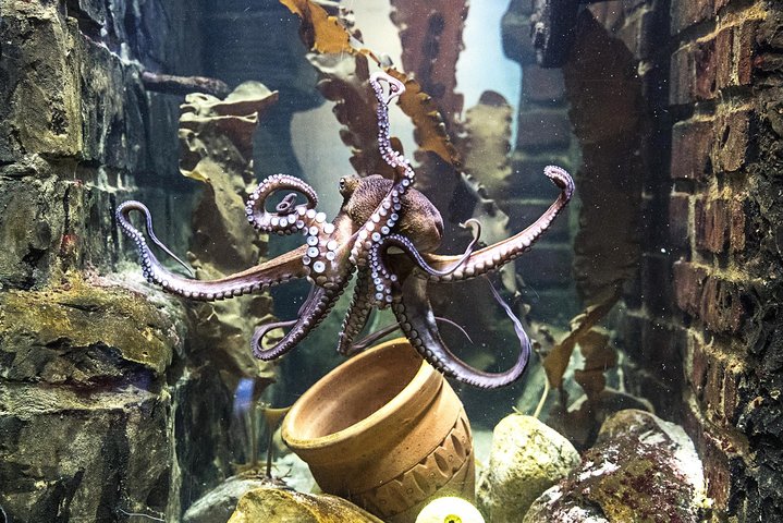 Hoteller i nærheden af SEA LIFE Oberhausen