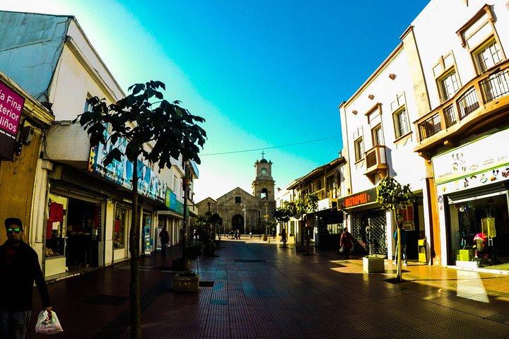 City Tour Privado La Serena e Coquimbo, Incluindo Almoço, Excursão Terrestre