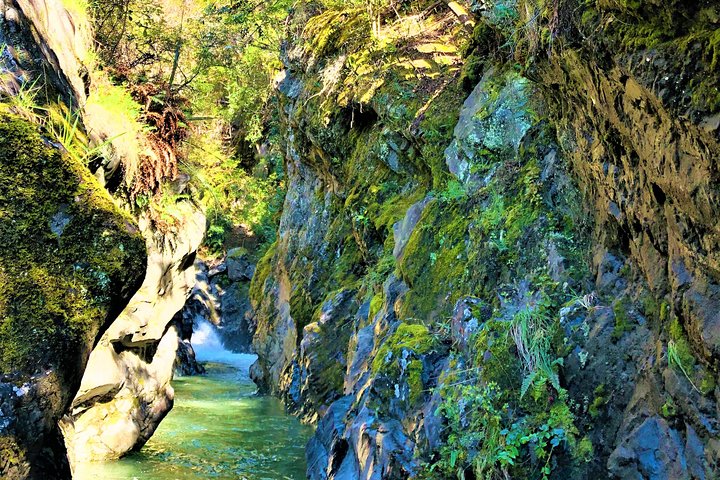 Excursão panorâmica de meio dia ao Senhor dos Anéis saindo de Queenstown