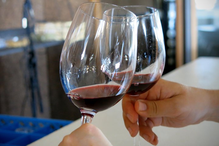 Troodos Mountains Vino Venture: Tour del vino di un'intera giornata
