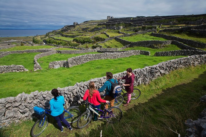 Sykle Inishmore Island. Aranøyene. Selvstyrt. Full dag.
