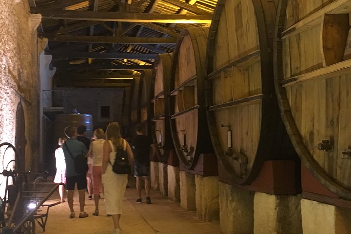 Excursão de meio dia a vinícola e oliveiras para grupos pequenos saindo de Montpellier