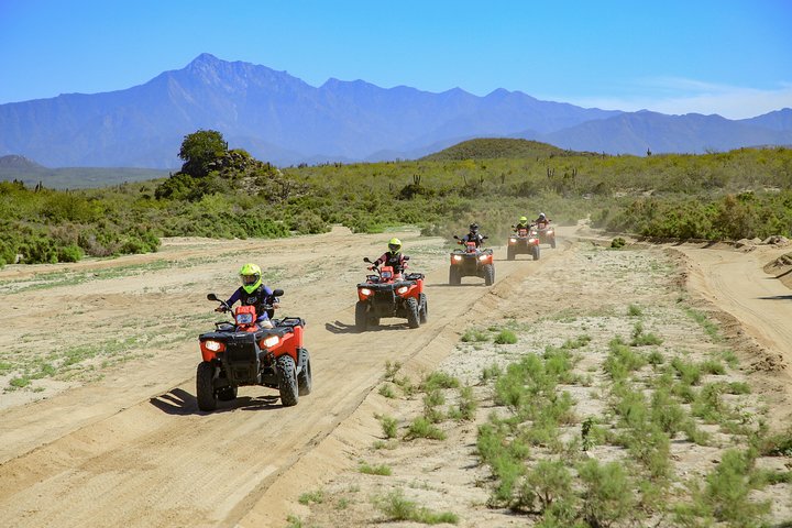 Excursion en VTT Cabo 4x4 avec dégustation de tequila et déjeuner buffet mexicain
