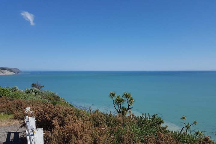 Martinborough Wine and Wild Coast Tour fra Wellington