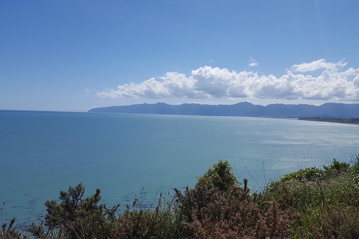 Martinborough Wine and Wild Coast Tour fra Wellington