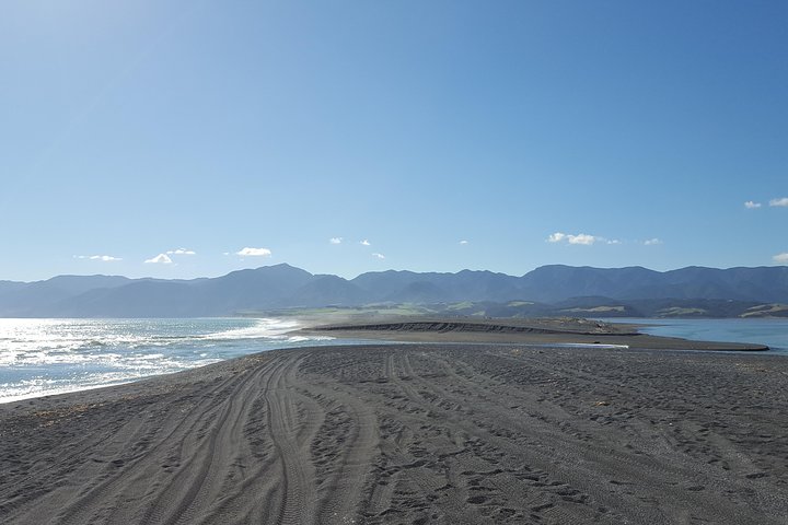 Martinborough Wine and Wild Coast Tour fra Wellington
