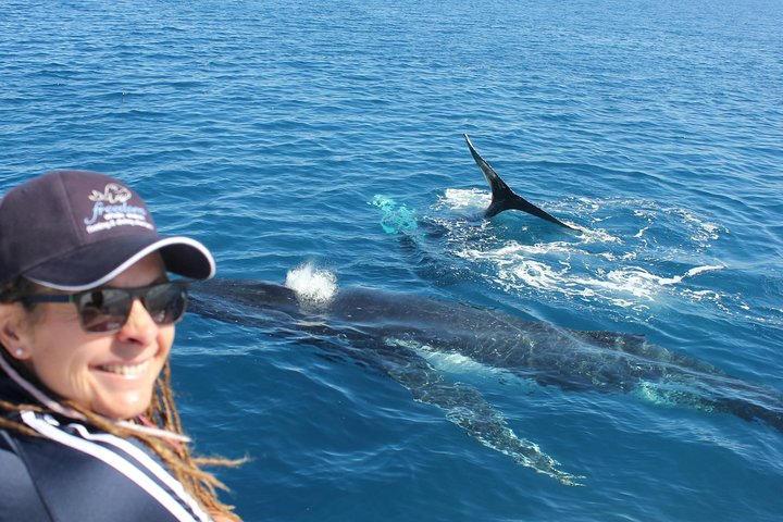 Hoteller i nærheden af Freedom Whale Watch Cruise - Hervey Bay