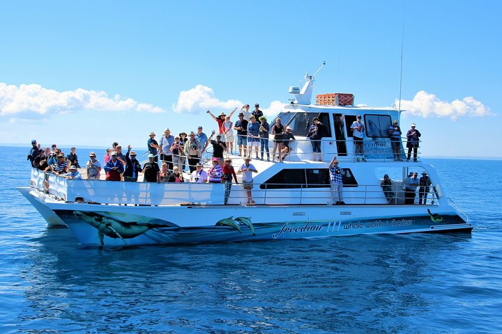 Hoteller i nærheden af Freedom Whale Watch Cruise - Hervey Bay