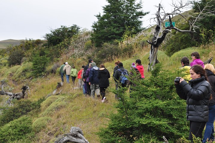 Torres Del Paine heldags terrängbil 4x4 från El Calafate