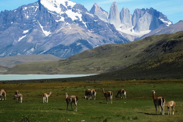 Torres Del Paine heldags terrängbil 4x4 från El Calafate