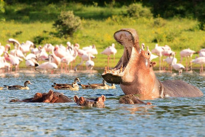 Excursão guiada pelo portão do inferno com opção de passeio de barco no lago Naivasha