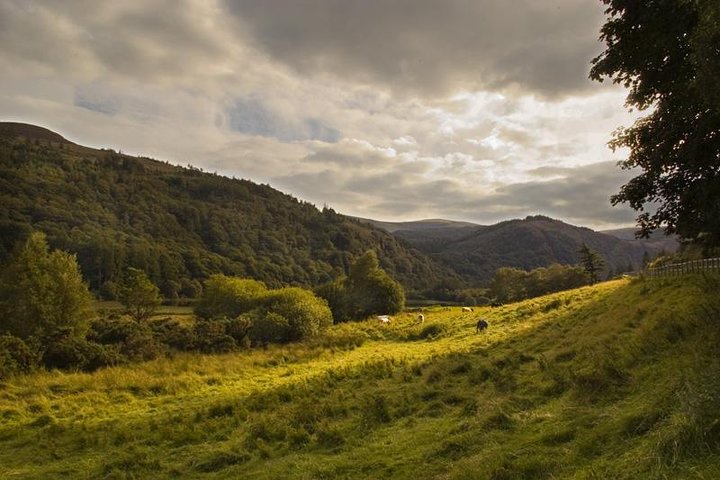 Visita guiada de Dublin a Glendalough, Wicklow e Kilkenny